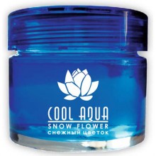     "Cool Aqua", 